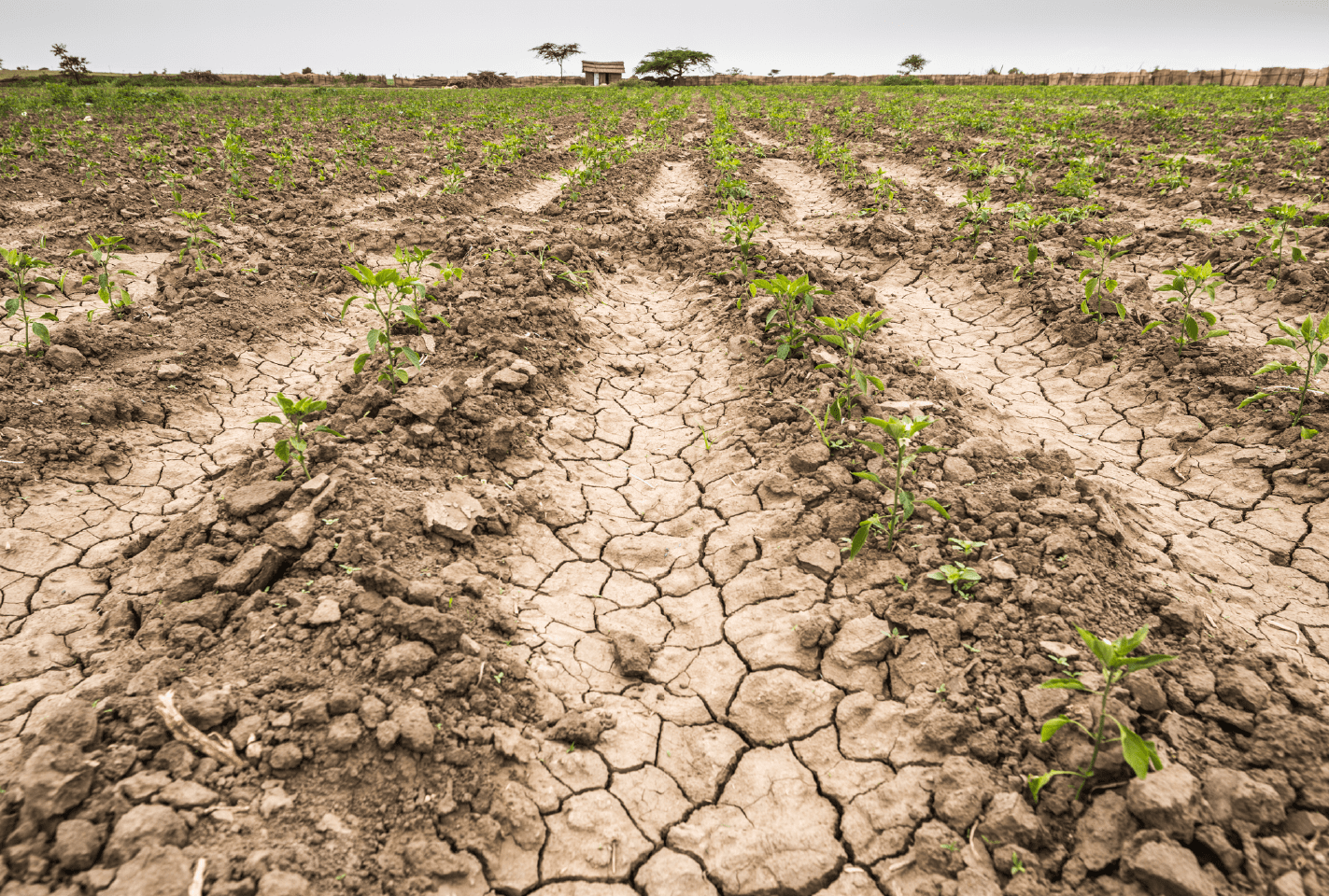 Cuidar el agua durante la sequía en México