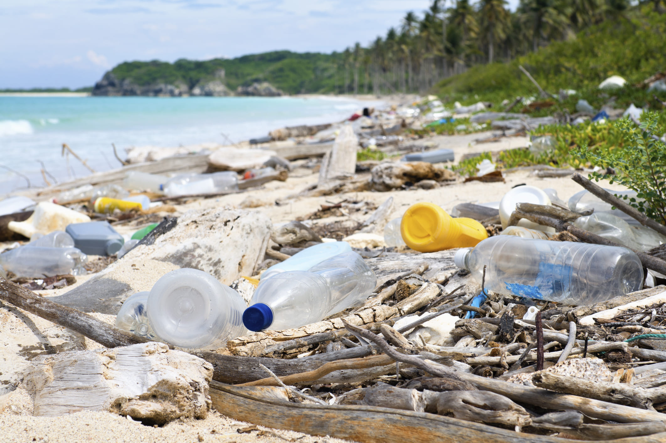 Al año, 400 millones de toneladas de plástico contaminan la tierra y el mar