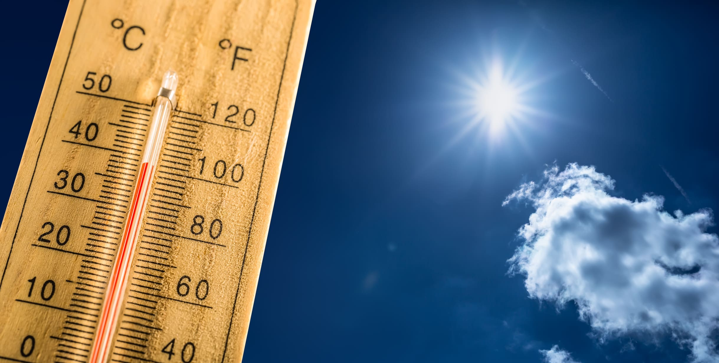 3 Enfermedades en época de calor comunes