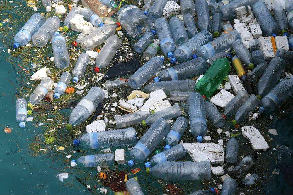 Cuidado con los tóxicos que puede desprender una botella de plástico  reutilizada